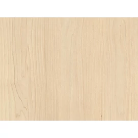 EGGER H1732ST9  HOMOK NYÍR  táblás bútorlap 2800x2070x18mm FAUTÁNZAT