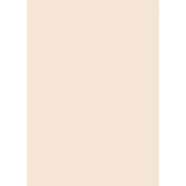 KASTA  D102    PS30 Beige   táblás bútorlap 2800x2070x18mm