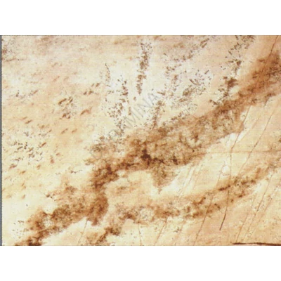 VIZZÁRÓ 9893 C SAND MOHAVE (WY6QZ) 4,2 fm BARNA MÁRVÁNY (10015710220)