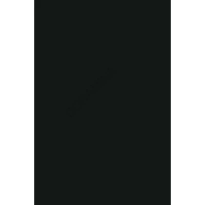 KRONO  190DP  Black táblás bútorlap 2800x2070x18mm